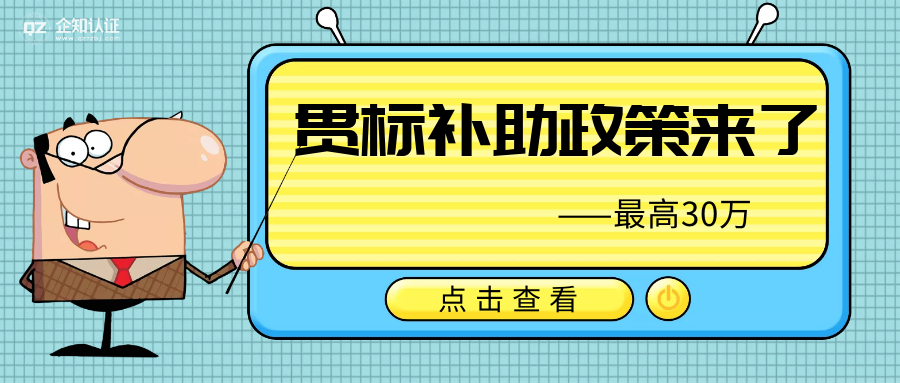 最高30万 全国多省市贯标补助政策来了!