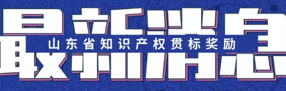 山东贯标补助知多少？山东省知识产权贯标奖励政策汇总