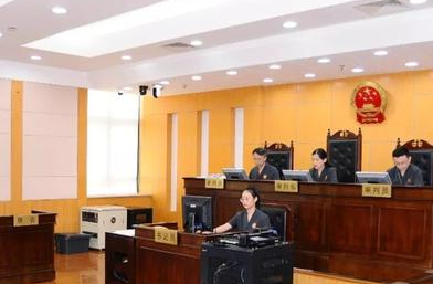 300万！上海首例商标惩罚性赔偿案件！恶意侵权将被重罚
