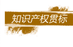 广州市市场监督管理局关于规范广州市知识产权贯标认证扶持政策的通知