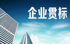企业知识产权管理体系贯彻实施的具体实施