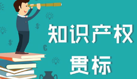 申长雨：做好知识产权强国战略纲要和“十四五”规划的编制工作