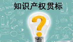 东莞市：知识产权贯标奖励5万，专利资助2万