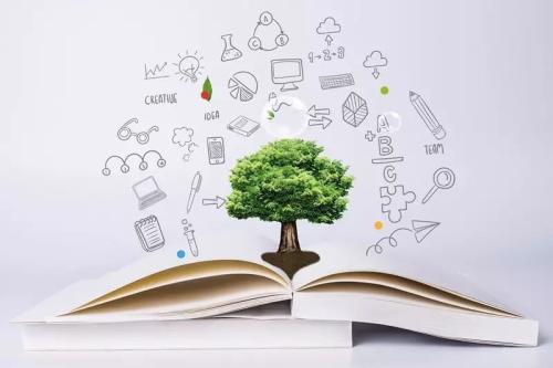 保护知识产权的途径有哪些?
