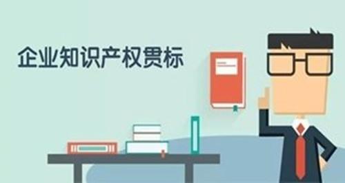 走完这12步，你的知识产权贯标认证就成功了
