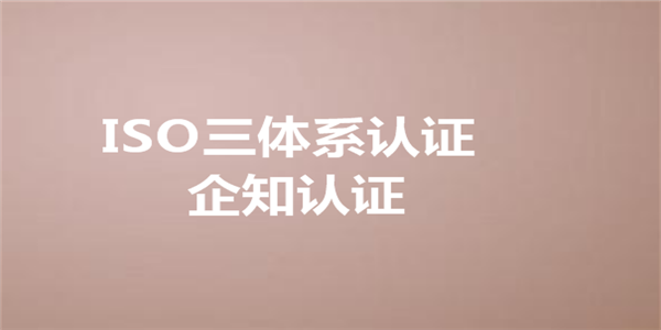 ISO9000质量体系认证的基本要求