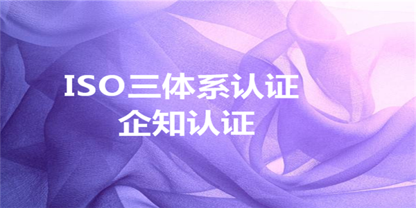 我国ISO9001质量体系认证的现状