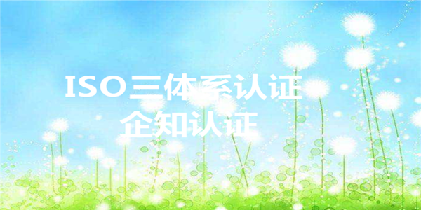 ISO45001认证制度模式是什么
