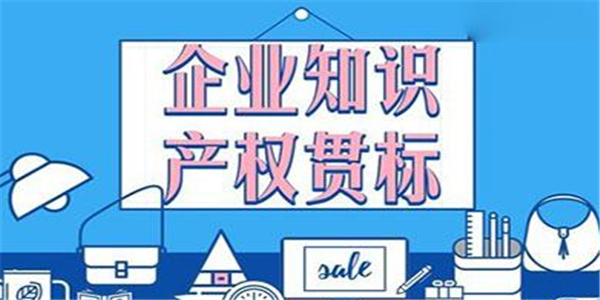 泉州贯标补助知多少？泉州市知识产权贯标奖励政策汇总