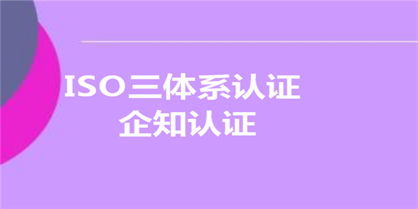 三体系认证双随机检查12项基本要求