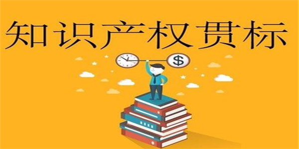 江西武宁县：国外专利奖励10万元，贯标奖励4万元