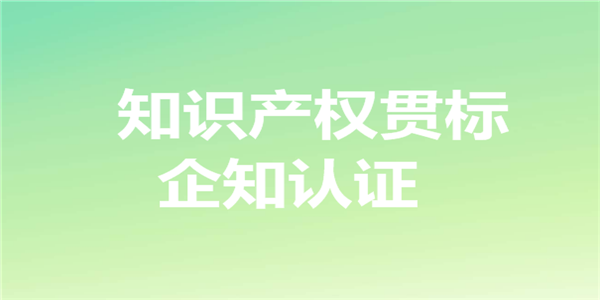 全省唯一！庐阳区精细化管理获得ISO9001质量管理体系认证
