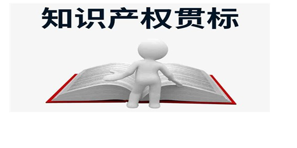 知识产权贯标认证流程