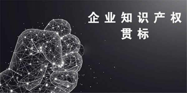 没有知识产权，可以做贯标吗?