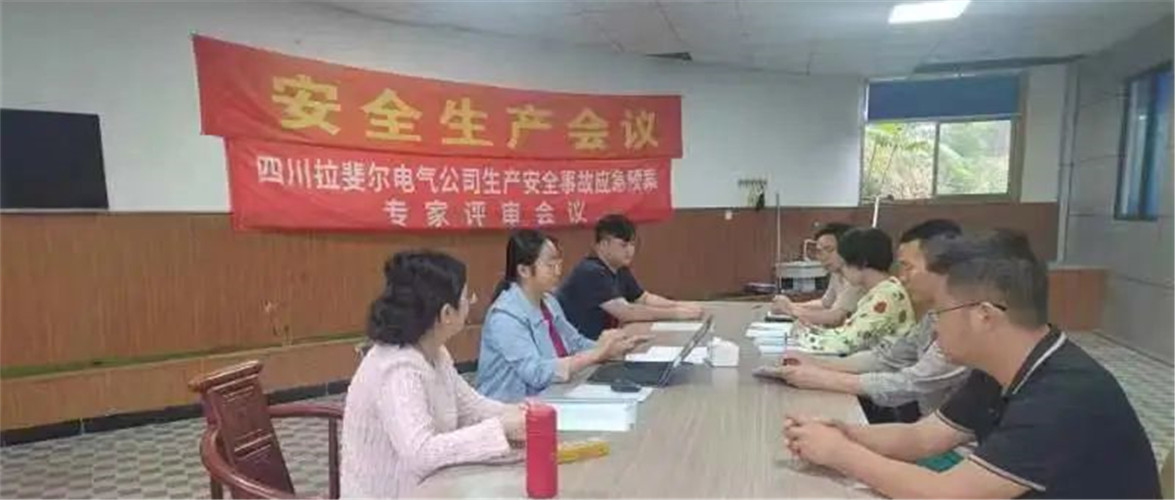 IPMS贯标认证故事 | IPMS贯标认证助力拉斐尔电气设备创新发展